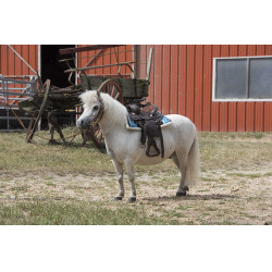 Tappeto navajo trapuntato Turchese Blu Tappeto navajo trapuntato Turchese Blu