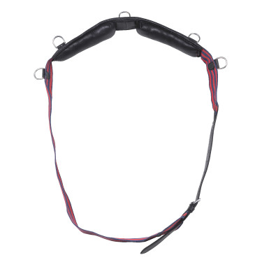 Sottopancia con cinturino Norton Club Sottopancia con cinturino Norton Club