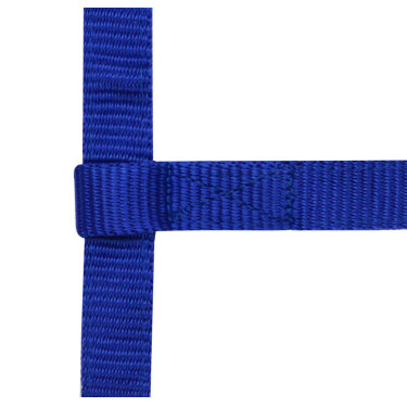 Capestro regolabile mini Blu reale