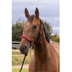 CAPEZZA ETOLÓGICA + LUNGA FUN COLOUR Fucsia neon Rosa