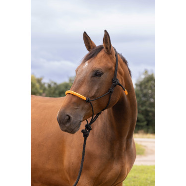 CAPEZZA ETOLÓGICA + LUNGA FUN COLOUR Arancione neon CAPEZZA ETOLÓGICA + LUNGA FUN COLOUR Arancione neon