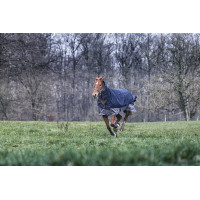 Coperta Equithème Tyrex 600D Combo 350g