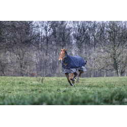 Coperta Equithème Tyrex 600D Combo 350g