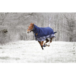 Coperta Equithème Tyrex 600D Combo 350g