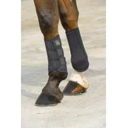 Ghette Elastiche Norton Nero