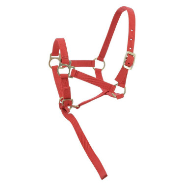 Capestro in nylon per puledro Rosso