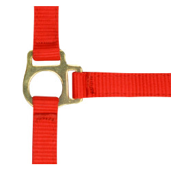 Capestro in nylon per puledro Rosso