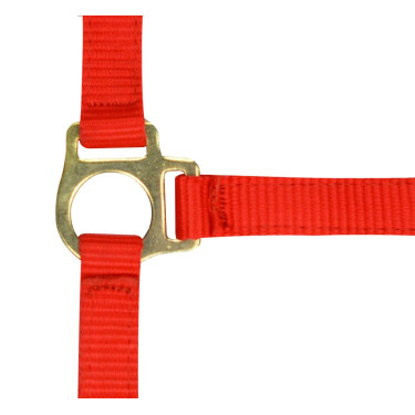 Capestro in nylon per puledro Rosso