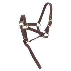 Capestro in nylon per puledro Marrone