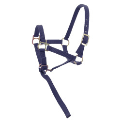 Capestro in nylon per puledro Blu navy