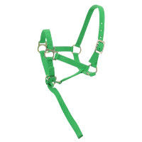 Capestro in nylon per puledro Viola Capestro in nylon per puledro Viola