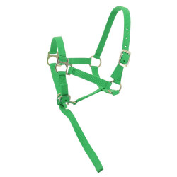 Capestro in nylon per puledro Verde chiaro Capestro in nylon per puledro Verde chiaro