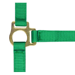 Capestro in nylon per puledro Verde chiaro Capestro in nylon per puledro Verde chiaro