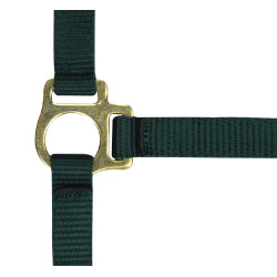 Capestro in nylon per puledro Verde scuro Capestro in nylon per puledro Verde scuro