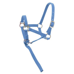 Capestro in nylon per puledro Cielo Blu