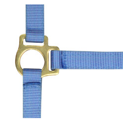 Capestro in nylon per puledro Cielo Blu