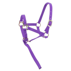 Capestro in nylon per puledro Viola
