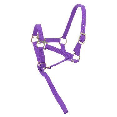 Capestro in nylon per puledro Viola