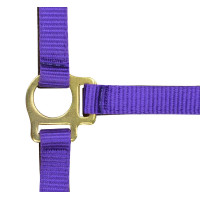 Capestro in nylon per puledro Viola