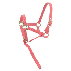 Capestro in nylon per puledro Rosa