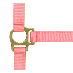 Capestro in nylon per puledro Rosa