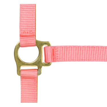 Capestro in nylon per puledro Rosa