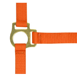 Capestro in nylon per puledro Arancione Capestro in nylon per puledro Arancione
