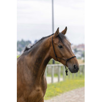 Capestro etologico corda Fine Nero