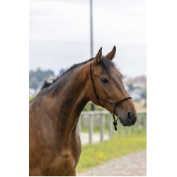 Capestro etologico corda Fine Nero