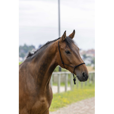 Capestro etologico corda Fine Nero