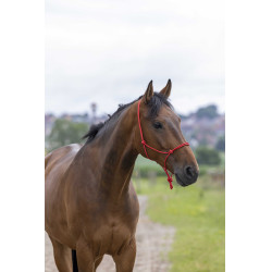 Capestro etologico corda Fine Rosso