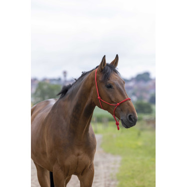 Capestro etologico corda Fine Rosso