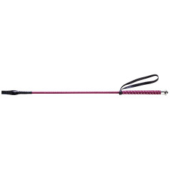 Cravache Whip & Go Points Bordeaux