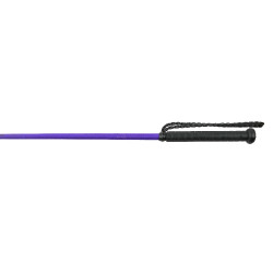 Frustino Whip & Go Twist con manico Viola