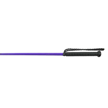 Frustino Whip & Go Twist con manico Viola