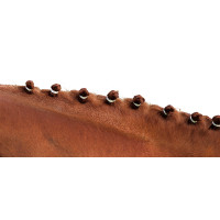 Elastici per criniera Bianco