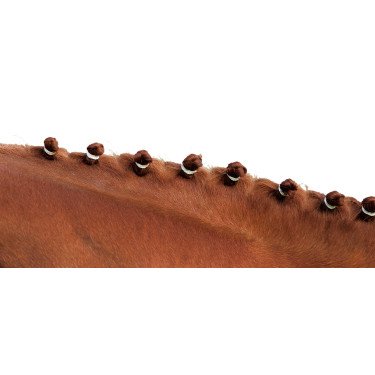 Elastici per criniera Bianco