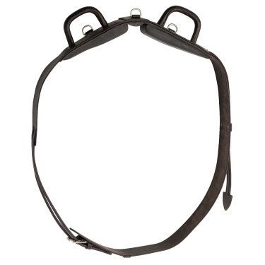 Surcingle da volteggio Norton Club con maniglie chiuse Surcingle da volteggio Norton Club con maniglie chiuse