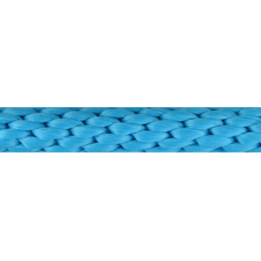 Longe Equithème Turchese Blu
