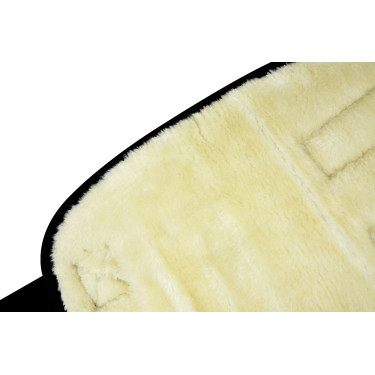 Ghette da trasporto basse Nero