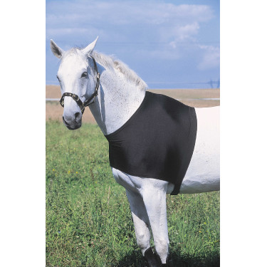 Protezione per spalle Equithème