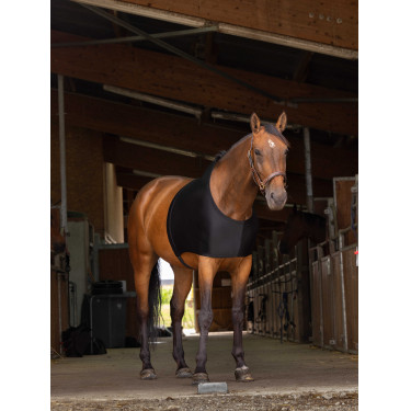 Protezione per spalle Equithème