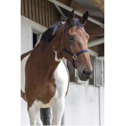 Capezzina First Blu navy