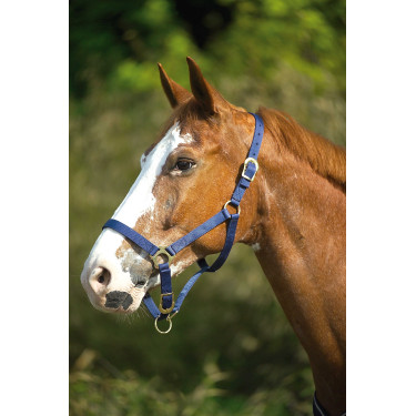Capestro in nylon doppio spessore con chiusure a fibbia Norton Blu navy