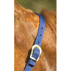 Capestro in nylon doppio spessore con chiusure a fibbia Norton Blu navy