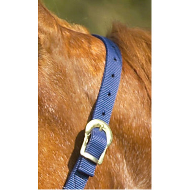 Capestro in nylon doppio spessore con chiusure a fibbia Norton Blu navy