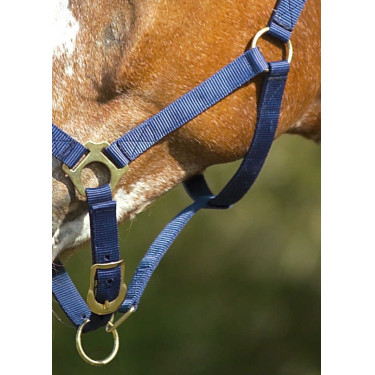 Capestro in nylon doppio spessore con chiusure a fibbia Norton Blu navy