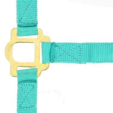 Capestro in nylon doppio spessore con chiusure a fibbia Norton Turchese Blu