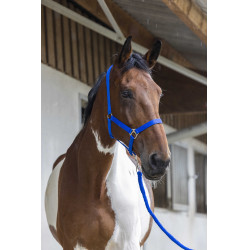 Set cavezza e lunghina Club Blu reale Set cavezza e lunghina Club Blu reale