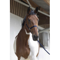 Set cavezza e lunghina Club Fucsia Rosa Set cavezza e lunghina Club Fucsia Rosa